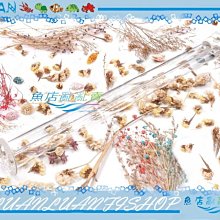 UV 紫外線殺菌燈3566不銹鋼鵝頸龍頭DIY濾心組         貨號 607511   Seven star淨水網 歷史價格詳細信息