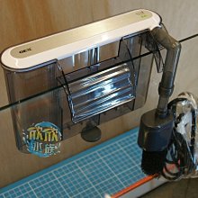 過日子~整隻北極熊 毛絨耳罩 保暖耳罩 防寒耳罩 護耳 大人小孩均可使用 商品實體拍照 歷史價格詳細信息