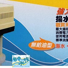 {台中水族} LE 椰殼活性碳 25公斤 特價 歷史價格詳細信息