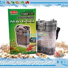 【魚店亂亂賣】水族先生全方位淨水硝化菌+全效水質穩定液魚體保護膜500ml(2種各1瓶組合)台灣製Mr.Aqua 歷史價格詳細信息