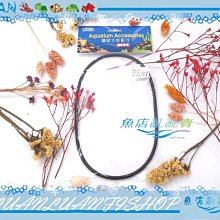 【~魚店亂亂賣~】德國Tetra德彩EX60、EX75、EX90外置圓桶方桶過濾器-原廠墊圈(大O環)圓桶止水環 價格比較,價格查詢,歷史價格詳細信息