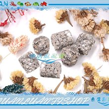 世界No.1的科學教育器材 littleBits Electronic Music Inventor Kit 吉他樂器發明家電路積木套件 歷史價格詳細信息