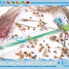 【魚店亂亂賣】雅柏水陸兩用沉水馬達3000L/H(沉馬)抽水馬達/水路馬達頭A-038-3000限淡水用 歷史價格詳細信息