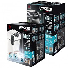 S.H～妍選精品~ 全新品牌 全新感受 Grain de Beaute 復古阿狗狗紅白點點兔耳朵髮插 歷史價格詳細信息