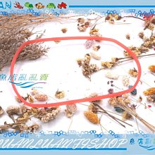 【魚店亂亂賣】雅柏UP外置圓筒過濾器230型 340型替換濾材原廠三合一專業級過濾棉 機能棉 生化棉E-028-A 歷史價格詳細信息