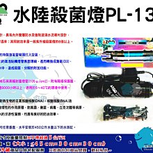 "魚水之歡水族批發"AZOO邰港【極濃縮.最強海水專用硝化菌粉】好氧菌＊硝化菌＊100g 歷史價格詳細信息