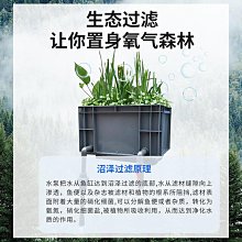 沼澤過濾箱自制周轉箱過濾箱魚缸魚池過濾器水循環過濾系統滴流盒 歷史價格詳細信息