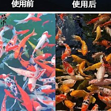 錦鯉魚池過濾器全自動反沖洗轉鼓微濾一體機智能水循壞系統箱設備 歷史價格詳細信息