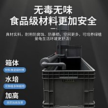 龜箱烏龜缸周轉箱養魚沼澤帶過濾種植物生態缸魚龜混養滴流飼養箱~優品百貨Q1221 歷史價格詳細信息