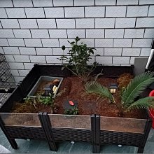 綠植盆簡約白色陶瓷盆肉肉園藝花器XDY超夯 正品 活動 優惠 歷史價格詳細信息