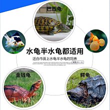 巴西木水養幸運木開花格魯特小樹人四季綠植室內桌面盆栽水培植物 歷史價格詳細信息