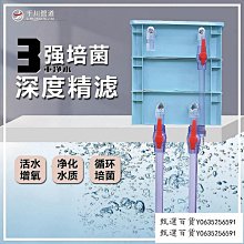 甄選百貨~魚缸客廳小型家用桌面玻璃循環過濾制氧免換水生態懶人造景水族箱 歷史價格詳細信息