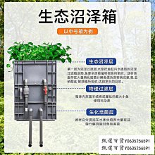 甄選百貨~沼澤過濾魚龜箱魚菜共生周轉箱水草低水位龜池水培過濾系統過濾器 歷史價格詳細信息