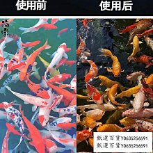 甄選百貨~過濾箱過濾設備免換水凈水過濾器錦鯉魚池過濾多重過濾盒過濾槽 價格比較,價格查詢,歷史價格詳細信息