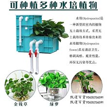 甄選百貨~魚缸過濾盒周轉箱自制過濾箱全套魚池水循環上置過濾器系統滴流盒 歷史價格詳細信息