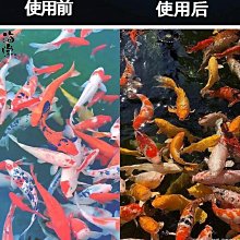 錦鯉魚池過濾器全自動反沖洗轉鼓微濾一體機智能水循壞系統箱設備 歷史價格詳細信息