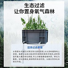 沼澤過濾箱自制周轉箱過濾箱魚缸魚池過濾器水循環過濾系統滴流盒 歷史價格詳細信息