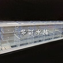 4缸分火頭 052905225C德國  VW T4 2000CC 歷史價格詳細信息