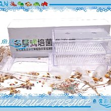 【~魚店亂亂賣~】水族先生Mr.Aqua高濃縮無殼/去殼豐年蝦卵70ml(幼魚.軟體)淡水.海水 歷史價格詳細信息