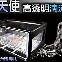 當天使飛過人間（五版）/田中伸介【城邦讀書花園】 歷史價格詳細信息