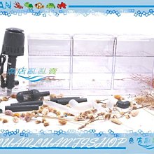 【魚店亂亂賣】上部過濾槽專用出水口L彎管(下水口)消音.消泡(大彎頭+下水管)ISTA水族先生MR.AQUA共用 歷史價格詳細信息