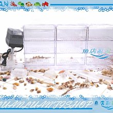 【魚店亂亂賣】上部過濾槽專用出水口L彎管(下水口)消音.消泡(大彎頭+下水管)ISTA水族先生MR.AQUA共用 歷史價格詳細信息