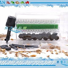 【~魚店亂亂賣~】LUANFISHOP三分管用連接L彎管上部過濾器三分管/3分配管(PVC管專用) 歷史價格詳細信息