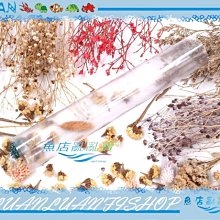 亂賣.大出清.仿古實木藝術紅木花架/置物架/收納架/電話架/書報架/展示架二尺 歷史價格詳細信息