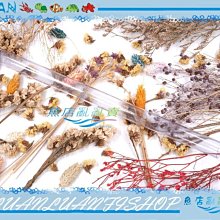 四分水管串連接頭10個 歷史價格詳細信息