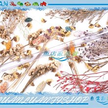 PVC水管三通等徑管件接頭配件給水管塑料排水50 63 70 32 40 75管~告白氣球 歷史價格詳細信息