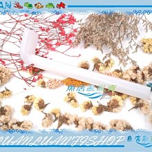 【魚店亂亂賣】LUANFISHOP上部環型雙雨淋滴流過濾槽擴充濾盒/便當盒-透明(雙孔)多格槽 歷史價格詳細信息