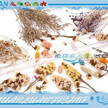 管帽(四分內牙末端)10個 歷史價格詳細信息