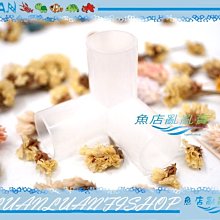 【魚店亂亂賣】LUANFISHOP上部環型雙雨淋滴流過濾槽擴充濾盒/便當盒-透明(雙孔)多格槽 歷史價格詳細信息