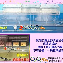 [B.Q.Q小舖]限自取-德灃生技【優質營養冷凍餌料 無節幼蟲 小塊片裝】 歷史價格詳細信息