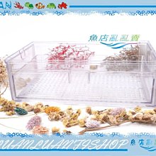 【魚店亂亂賣】新型迷你蛋白質過濾器(L款)內置式除沫160L(同日本五味與NS16)亂賣嚴選AQUTE 歷史價格詳細信息