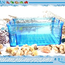 【~魚店亂亂賣~】多層式上部一尺半三層多格式生化過濾槽1.5尺+MA35L揚水馬達(透明滴流槽) 歷史價格詳細信息