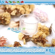 管帽(四分內牙末端)10個 歷史價格詳細信息