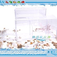 【魚店亂亂賣】60型外掛過濾器替換通用活性碳包4入(五味GEX.AZOO.ALIFE20型.銀箭) 歷史價格詳細信息