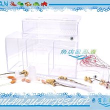 【魚店亂亂賣】上部過濾槽專用出水口L彎管(下水口)消音.消泡(大彎頭+下水管)ISTA水族先生MR.AQUA共用 歷史價格詳細信息