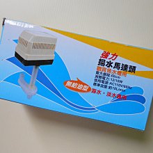微笑的魚水族☆ISTA -伊士達【超豔特級飼料(中粒/小粒)1kg】超艷飼料 增艷飼料，金魚，錦鯉，羅漢，血鸚鵡 歷史價格詳細信息
