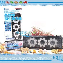 【魚店亂亂賣】日本水作Suisaku內置烏龜沉水過濾器專用替換白棉2組/盒(4入)濾心濾材F-3142 歷史價格詳細信息