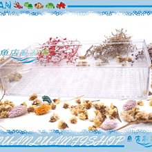 【魚店亂亂賣】上部過濾槽專用出水口L彎管(下水口)消音.消泡(大彎頭+下水管)ISTA水族先生MR.AQUA共用 歷史價格詳細信息