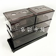 台北►►多彩水族◄◄正洋《乾濕 分離型上部 專用 / (9)雨淋管塞(單個)》乾溼_上部過濾器 便當盒，滴流_過濾槽 歷史價格詳細信息