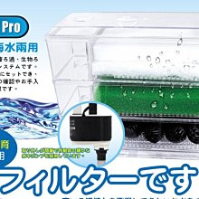 5層60CM多功能一體鞋帽架 簡易鞋架 門口掛包架 鞋櫃置物架 鞋子收納架 臥室掛衣架 歷史價格詳細信息