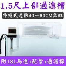 40~60腰超大尺碼工作/休閒純棉T恤 歷史價格詳細信息