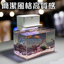 【AC草影】USB 圓形魚缸過濾器+LED燈（M）【一個】ECS011589 歷史價格詳細信息