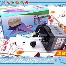 【魚店亂亂賣】ISTA上部過濾槽專用出水口L彎管(下水口)消音.消泡(大彎頭+下水管)台灣伊士達I-985 歷史價格詳細信息