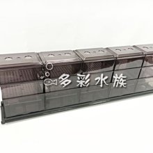 台北►►多彩水族◄◄正洋《乾濕 分離型上部 專用 / (9)雨淋管塞(單個)》乾溼_上部過濾器 便當盒，滴流_過濾槽 歷史價格詳細信息