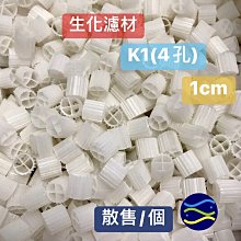 共生下的新生(手繪插畫)拼圖300片 歷史價格詳細信息