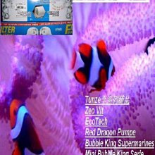 ＊海葵達人＊伊登EDEN-107迷你沉水馬達（可調流量）* 免運~可貨到付款* 歷史價格詳細信息